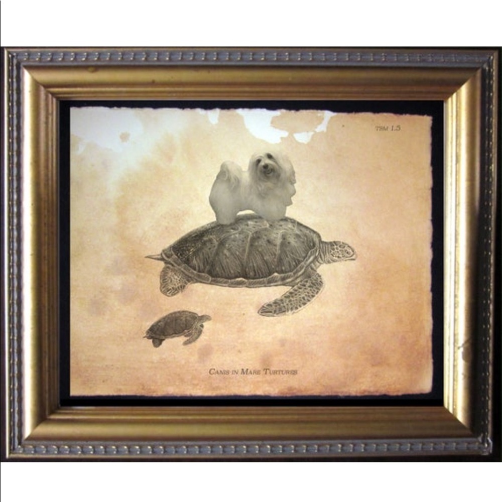 Havanese Dog on Turtle Wall Art Print Tea Stained